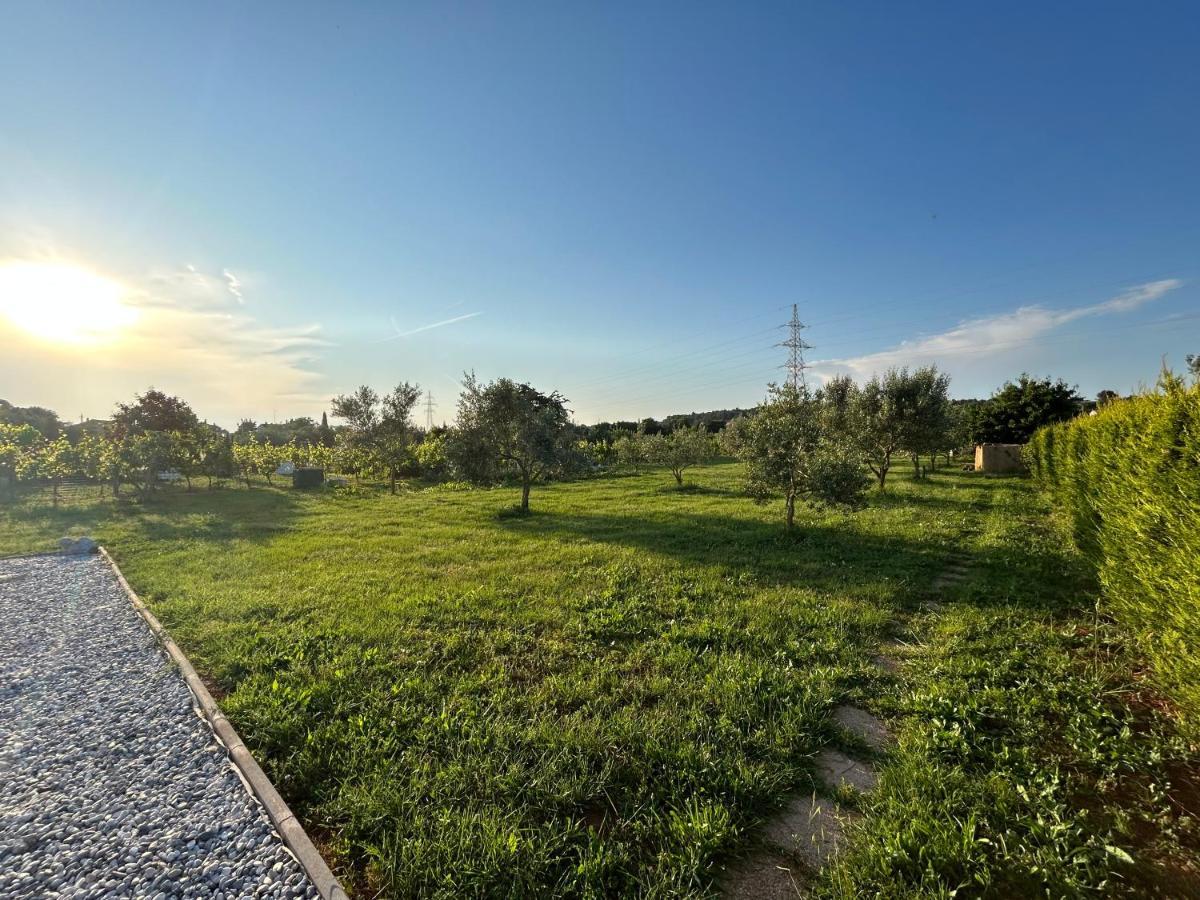 Dora House With Wifi And Outdoor Swimming Pool Villa Pula Exteriör bild